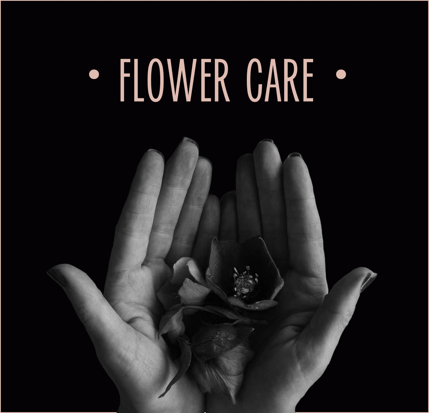 Flower Care