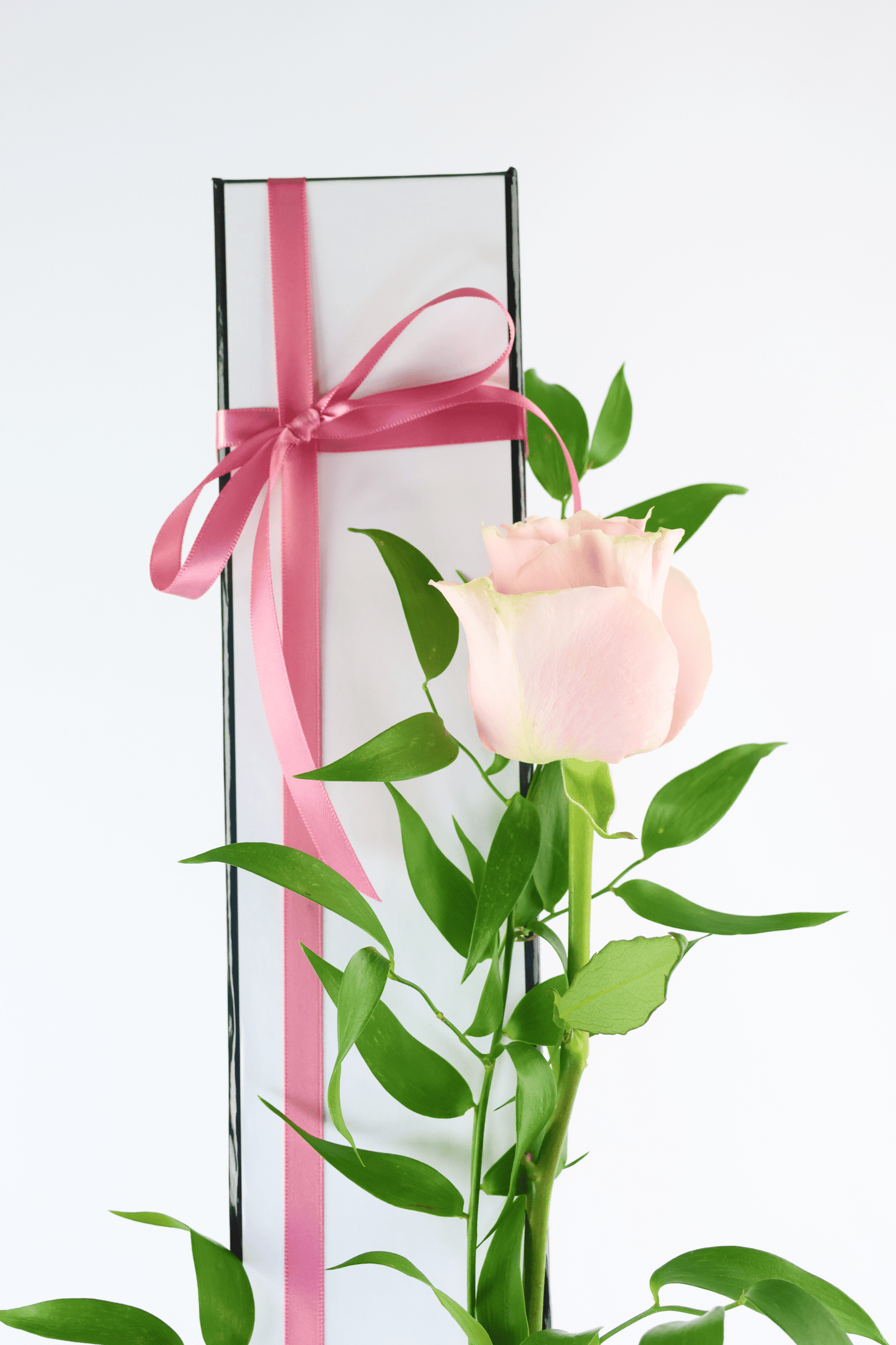 Single Rose Romance