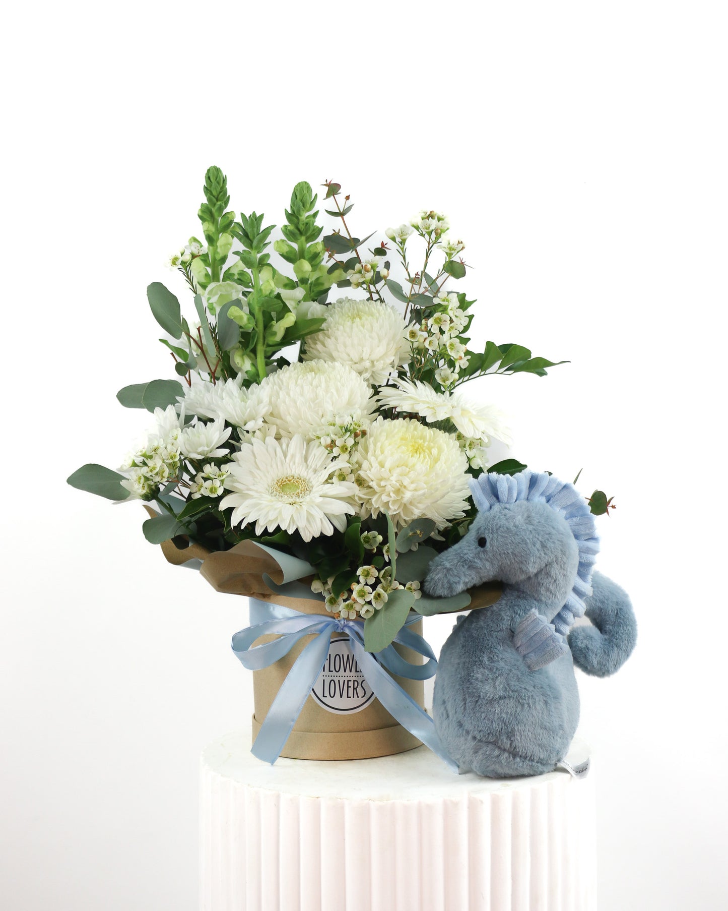 Pastel Blue Baby